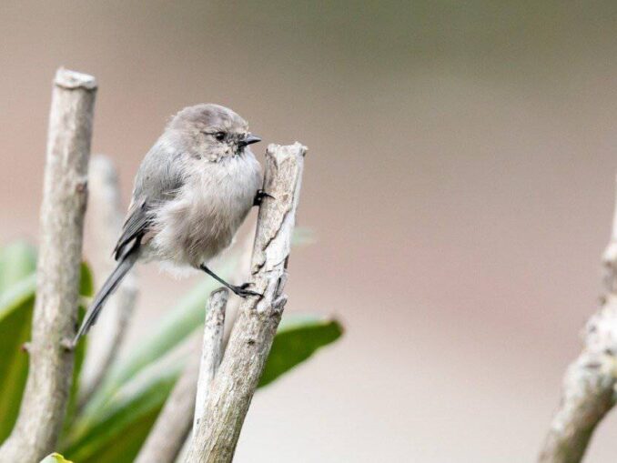 44a0ac7ccd17ee5aa57ca2ad45679b50