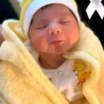 44a0ac7ccd17ee5aa57ca2ad45679b50