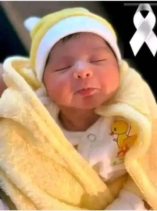 44a0ac7ccd17ee5aa57ca2ad45679b50