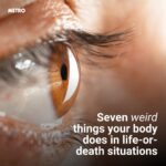 44a0ac7ccd17ee5aa57ca2ad45679b50