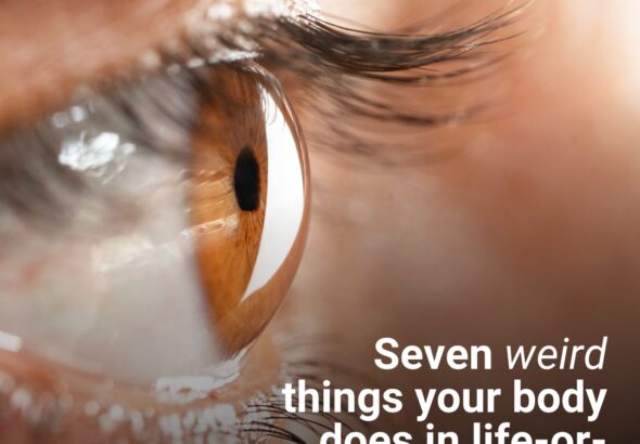 44a0ac7ccd17ee5aa57ca2ad45679b50