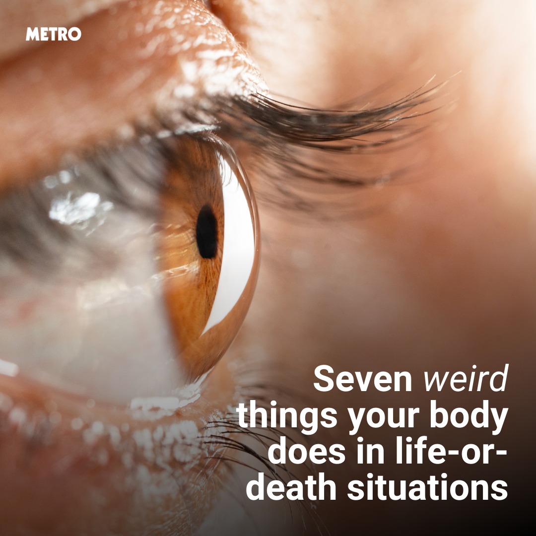 44a0ac7ccd17ee5aa57ca2ad45679b50