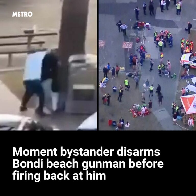 44a0ac7ccd17ee5aa57ca2ad45679b50