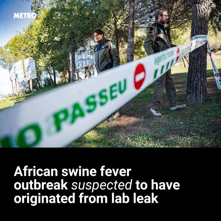 44a0ac7ccd17ee5aa57ca2ad45679b50