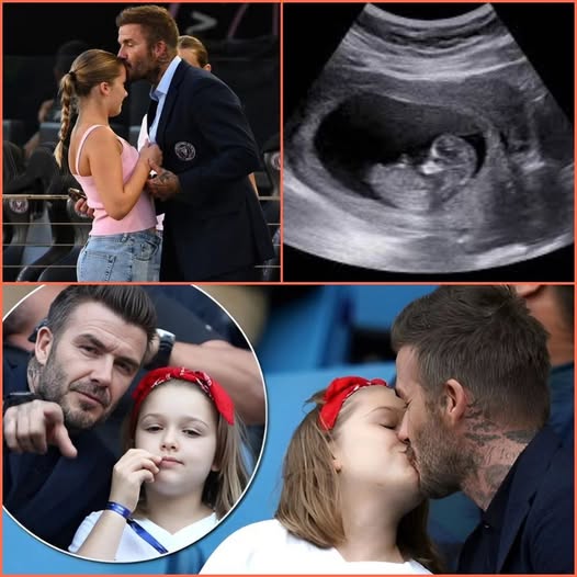 fn-2025-12-09-01-24-32-263